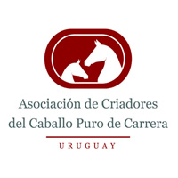 Asoc. Criadores del Caballo Puro de Carrera